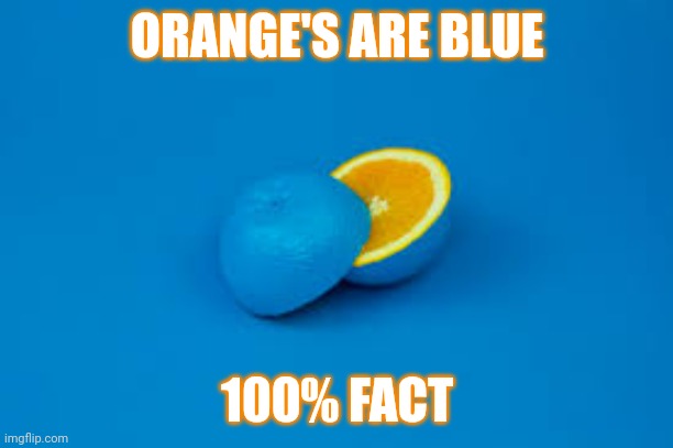 True |  ORANGE'S ARE BLUE; 100% FACT | image tagged in facts,truth,orange,lies,biased media,censorship | made w/ Imgflip meme maker