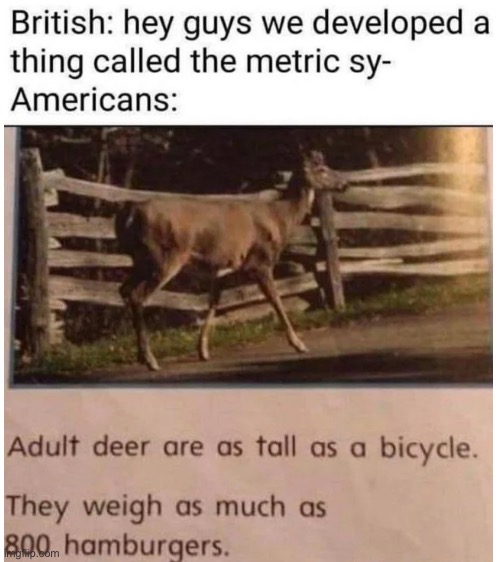 Anything but the metric system | image tagged in memes | made w/ Imgflip meme maker