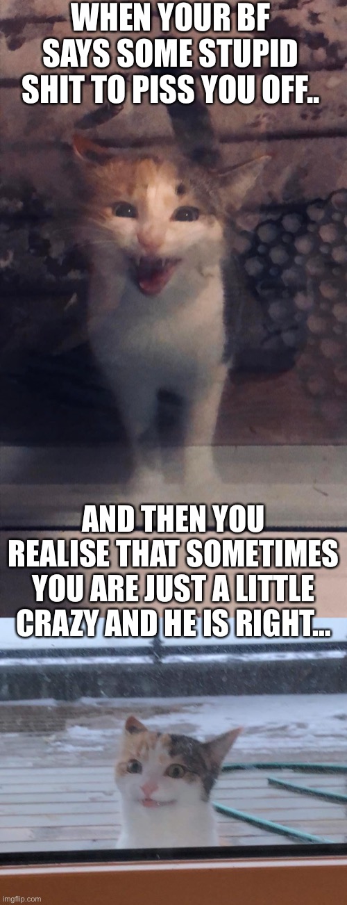 Just a lil crazy | WHEN YOUR BF SAYS SOME STUPID SHIT TO PISS YOU OFF.. AND THEN YOU REALISE THAT SOMETIMES YOU ARE JUST A LITTLE CRAZY AND HE IS RIGHT… | image tagged in kitten | made w/ Imgflip meme maker