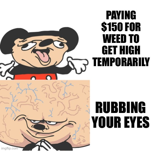 Get high asf for free with this simple trick | PAYING $150 FOR WEED TO GET HIGH TEMPORARILY; RUBBING YOUR EYES | image tagged in smort | made w/ Imgflip meme maker