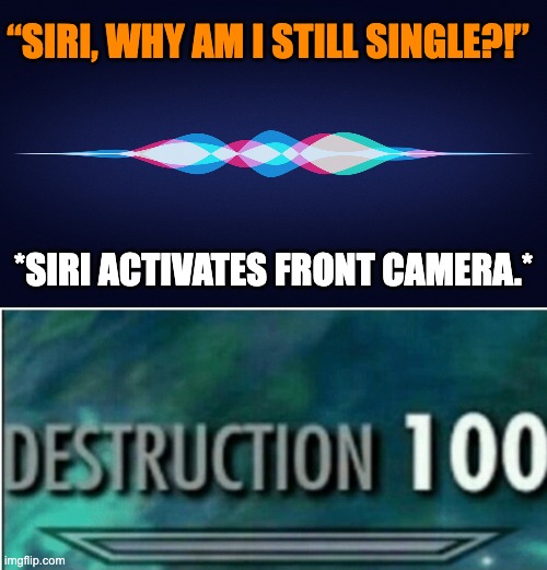 *good title* | “SIRI, WHY AM I STILL SINGLE?!”; *SIRI ACTIVATES FRONT CAMERA.* | image tagged in siri,destruction 100,roasted | made w/ Imgflip meme maker