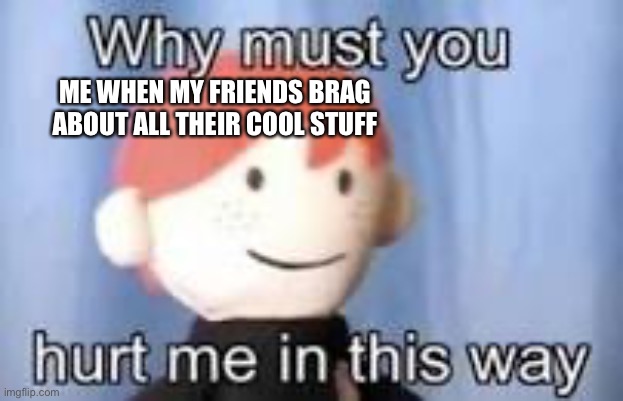 Why must you hurt me in this way | ME WHEN MY FRIENDS BRAG ABOUT ALL THEIR COOL STUFF | image tagged in why must you hurt me in this way | made w/ Imgflip meme maker