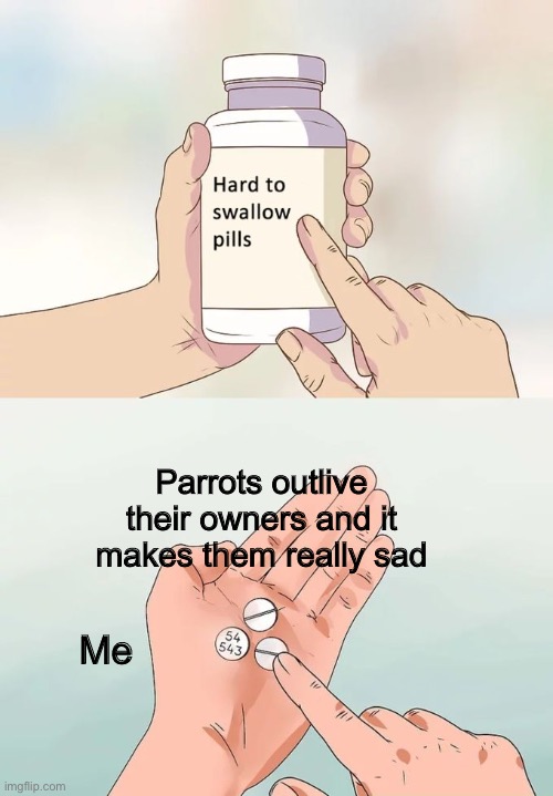 Sadness | Parrots outlive their owners and it makes them really sad; Me | image tagged in memes,hard to swallow pills | made w/ Imgflip meme maker