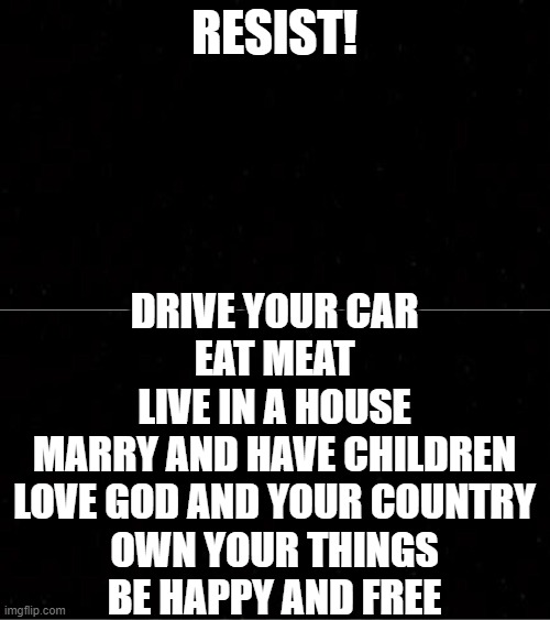 RESIST! DRIVE YOUR CAR
EAT MEAT
LIVE IN A HOUSE
MARRY AND HAVE CHILDREN
LOVE GOD AND YOUR COUNTRY
OWN YOUR THINGS
BE HAPPY AND FREE | image tagged in black blank | made w/ Imgflip meme maker