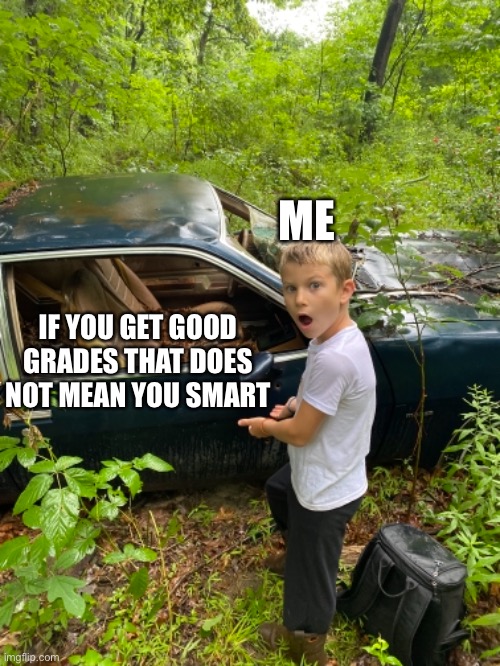 Wow | ME; IF YOU GET GOOD GRADES THAT DOES NOT MEAN YOU SMART | image tagged in wow | made w/ Imgflip meme maker