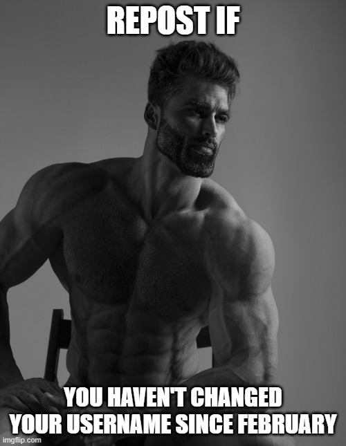 Giga Chad | REPOST IF; YOU HAVEN'T CHANGED YOUR USERNAME SINCE FEBRUARY | image tagged in giga chad | made w/ Imgflip meme maker