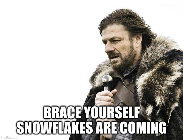 Brace Yourselves X is Coming Meme | BRACE YOURSELF SNOWFLAKES ARE COMING | image tagged in memes,brace yourselves x is coming | made w/ Imgflip meme maker