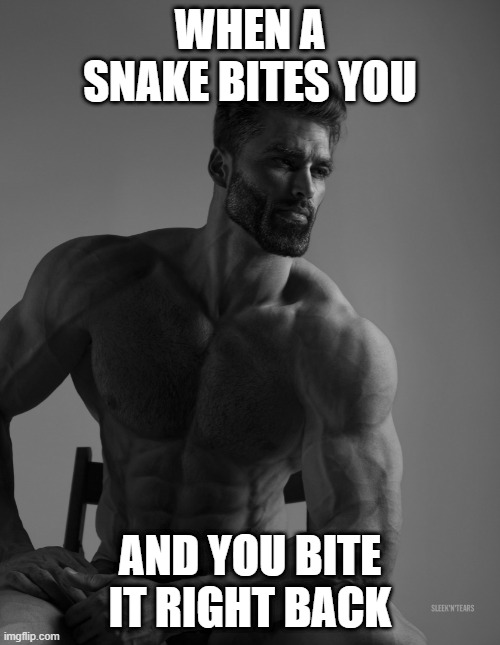 I'm joking | WHEN A SNAKE BITES YOU; AND YOU BITE IT RIGHT BACK | image tagged in giga chad | made w/ Imgflip meme maker