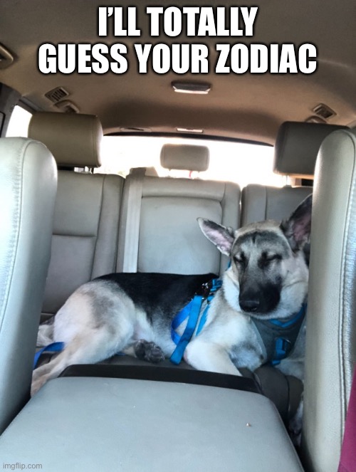 Sleepy boi | I’LL TOTALLY GUESS YOUR ZODIAC | image tagged in sleepy boi | made w/ Imgflip meme maker