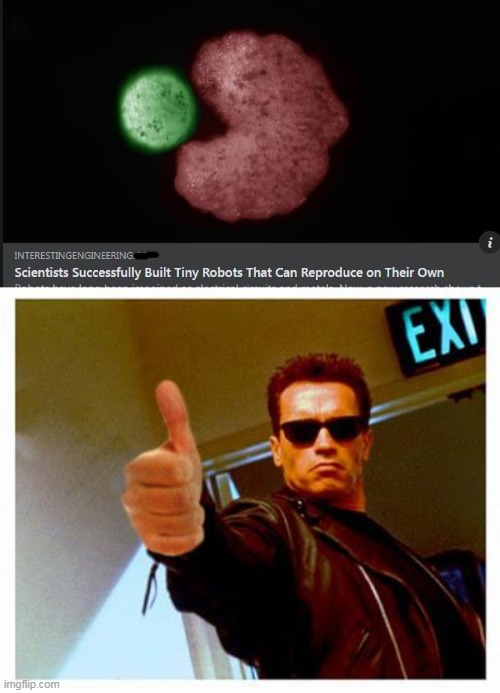 skynet | image tagged in terminator thumbs up | made w/ Imgflip meme maker