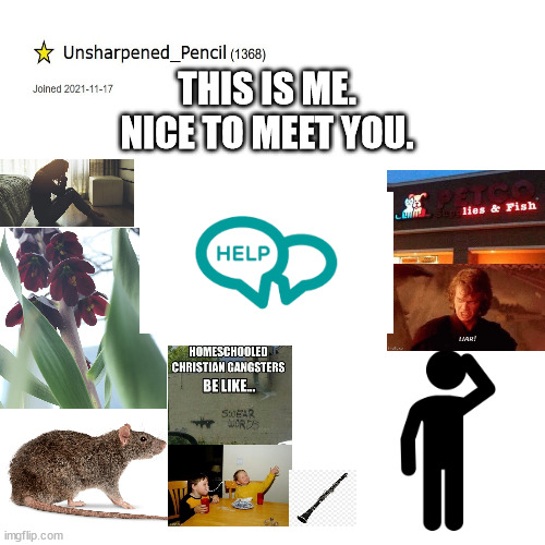 Hi :) | THIS IS ME. NICE TO MEET YOU. | image tagged in memes,blank transparent square | made w/ Imgflip meme maker