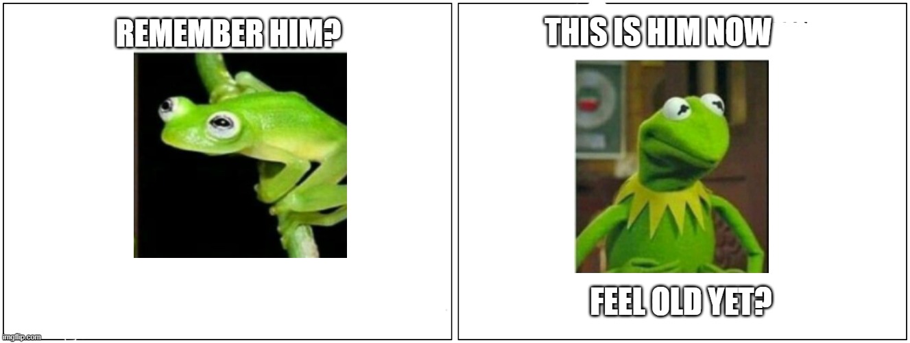 THIS IS HIM NOW; REMEMBER HIM? FEEL OLD YET? | image tagged in kermit the frog,remember this guy | made w/ Imgflip meme maker