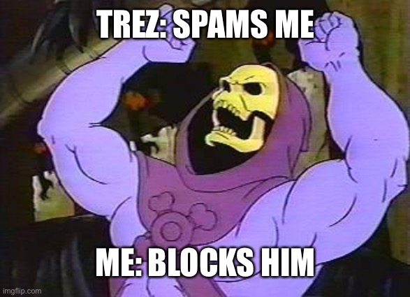 Hahaha | TREZ: SPAMS ME; ME: BLOCKS HIM | image tagged in you fool skeletor | made w/ Imgflip meme maker
