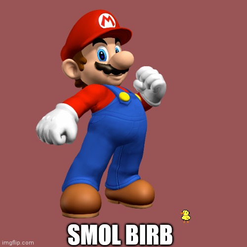 SMOL BIRB | made w/ Imgflip meme maker