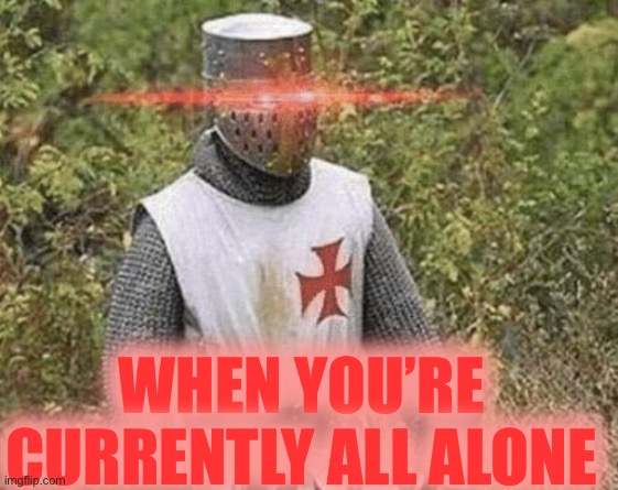 Growing Stronger Crusader | WHEN YOU’RE CURRENTLY ALL ALONE | image tagged in growing stronger crusader | made w/ Imgflip meme maker