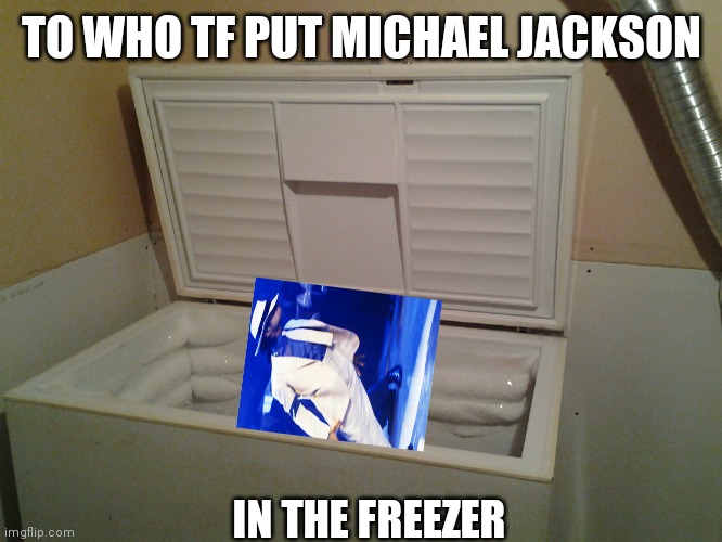 Got this by a comment that appears in almost all my memes lol | TO WHO TF PUT MICHAEL JACKSON; IN THE FREEZER | image tagged in freezer,ahhhhh | made w/ Imgflip meme maker