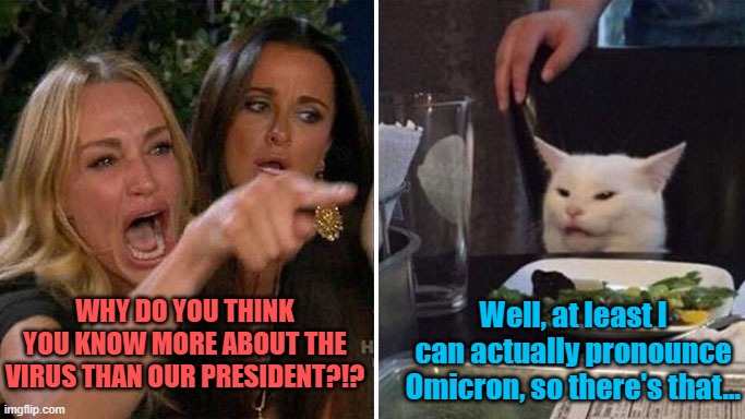 Angry lady cat | WHY DO YOU THINK YOU KNOW MORE ABOUT THE VIRUS THAN OUR PRESIDENT?!? Well, at least I can actually pronounce Omicron, so there's that... | image tagged in angry lady cat | made w/ Imgflip meme maker