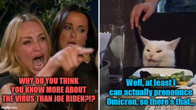 Angry lady cat | WHY DO YOU THINK YOU KNOW MORE ABOUT THE VIRUS THAN JOE BIDEN?!? Well, at least I can actually pronounce Omicron, so there's that... | image tagged in angry lady cat | made w/ Imgflip meme maker