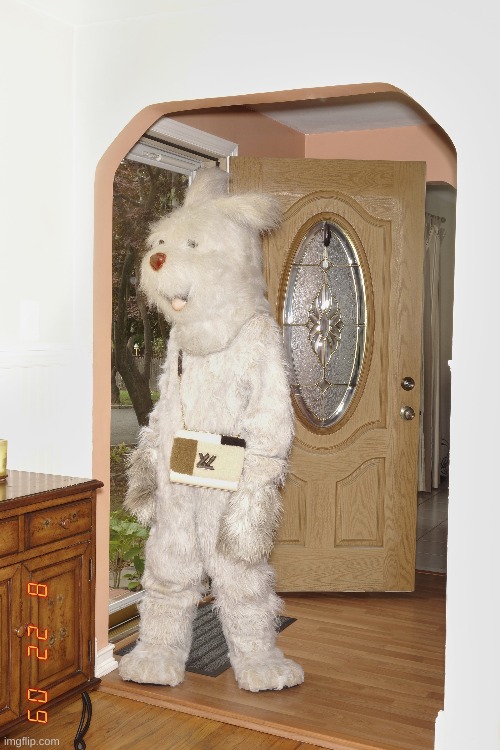 Cocaine | made w/ Imgflip meme maker