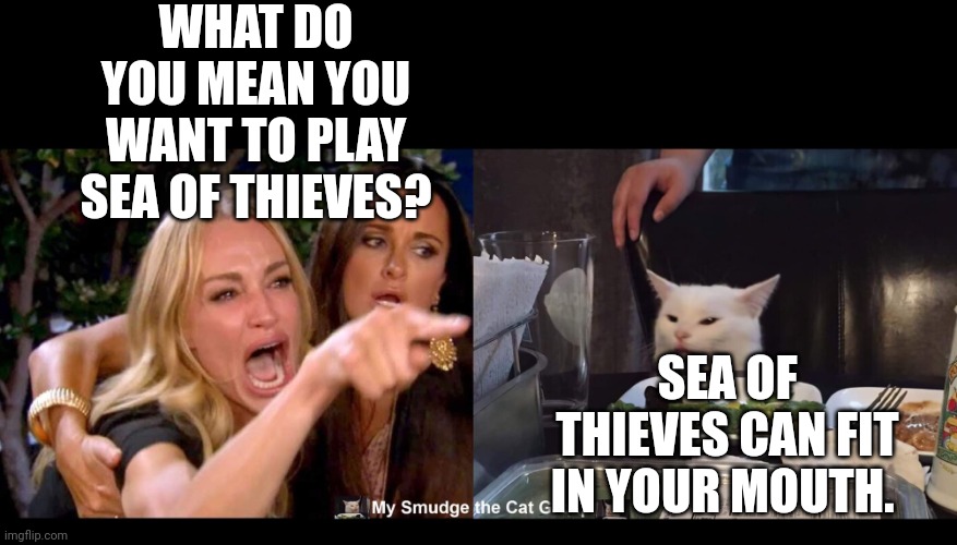 WHAT DO YOU MEAN YOU WANT TO PLAY SEA OF THIEVES? SEA OF THIEVES CAN FIT IN YOUR MOUTH. | image tagged in smudge the cat | made w/ Imgflip meme maker