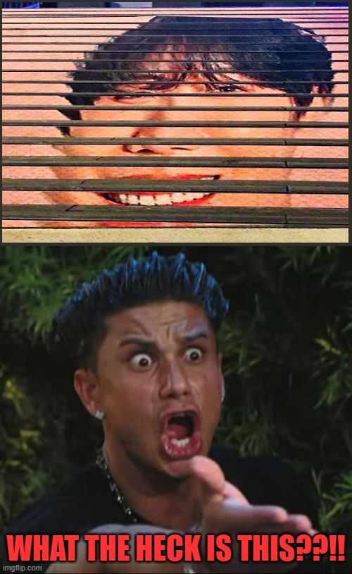 DJ Pauly D | WHAT THE HECK IS THIS??!! | image tagged in memes,dj pauly d,design fails | made w/ Imgflip meme maker