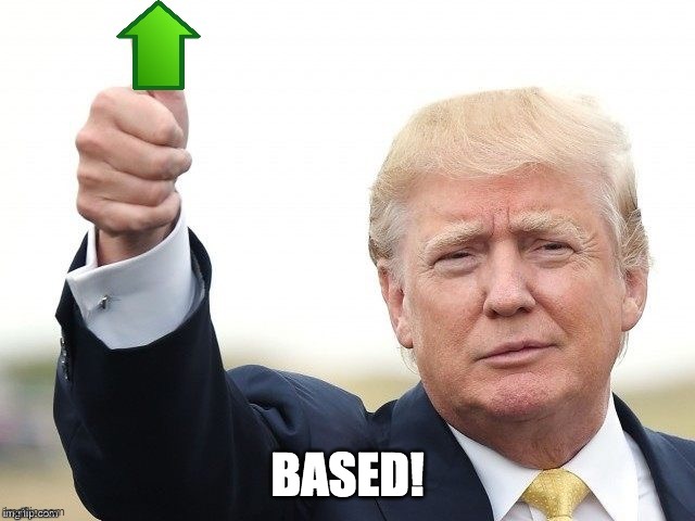 Trump Upvote | BASED! | image tagged in trump upvote | made w/ Imgflip meme maker