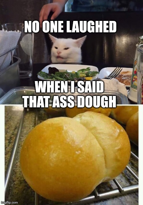 NO ONE LAUGHED; WHEN I SAID THAT ASS DOUGH | image tagged in smudge the cat | made w/ Imgflip meme maker