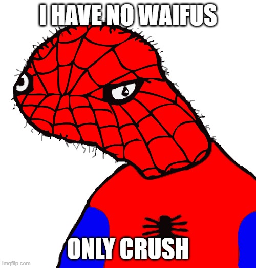 y u do dis | I HAVE NO WAIFUS; ONLY CRUSH | image tagged in y u do dis | made w/ Imgflip meme maker