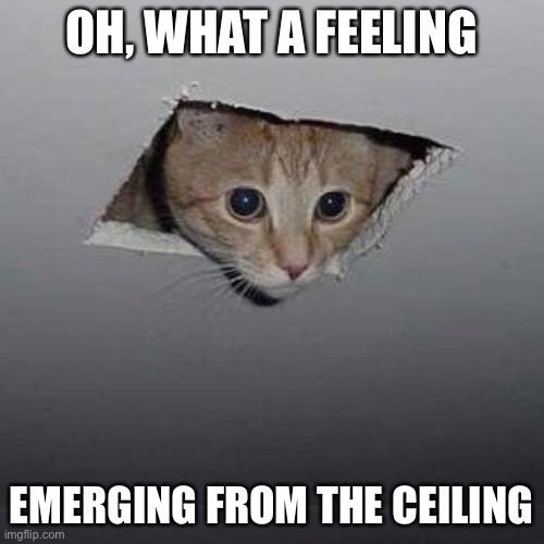 Lionel Ritchie | OH, WHAT A FEELING; EMERGING FROM THE CEILING | image tagged in memes,ceiling cat,dancing | made w/ Imgflip meme maker