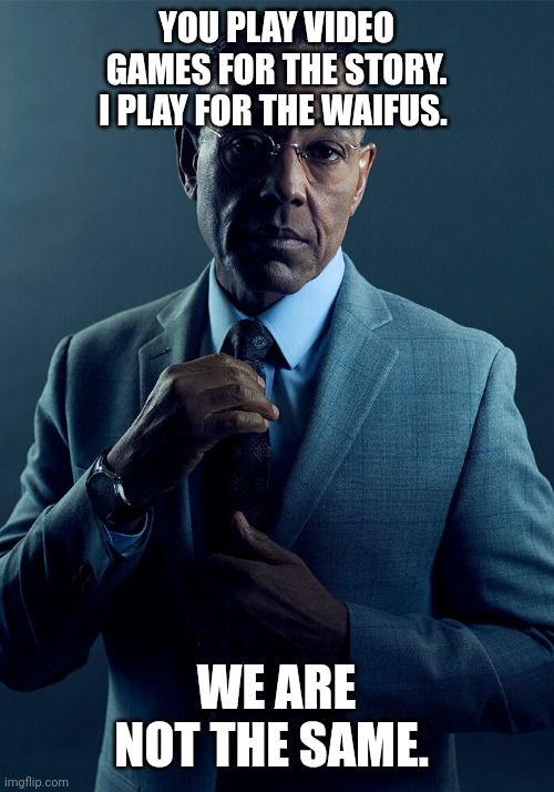 Waifu | YOU PLAY VIDEO GAMES FOR THE STORY. I PLAY FOR THE WAIFUS. WE ARE NOT THE SAME. | image tagged in gus fring we are not the same | made w/ Imgflip meme maker