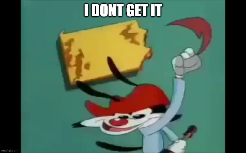 Wakko Frame | I DONT GET IT | image tagged in wakko frame | made w/ Imgflip meme maker