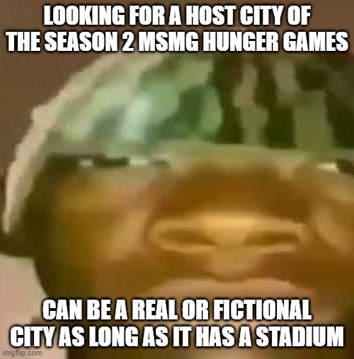 shitpost | LOOKING FOR A HOST CITY OF THE SEASON 2 MSMG HUNGER GAMES; CAN BE A REAL OR FICTIONAL CITY AS LONG AS IT HAS A STADIUM | image tagged in shitpost | made w/ Imgflip meme maker