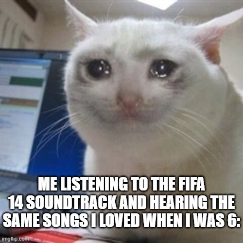 nostalgia 1 | ME LISTENING TO THE FIFA 14 SOUNDTRACK AND HEARING THE SAME SONGS I LOVED WHEN I WAS 6: | image tagged in crying cat,fifa,gaming | made w/ Imgflip meme maker