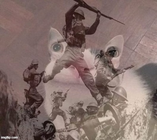 cursed smiling cat ptsd | image tagged in cursed smiling cat ptsd | made w/ Imgflip meme maker