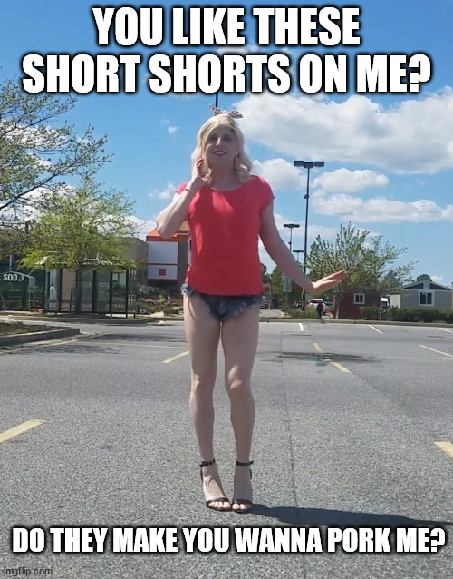 YOU LIKE THESE SHORT SHORTS ON ME? DO THEY MAKE YOU WANNA PORK ME? | image tagged in denver short shorts | made w/ Imgflip meme maker
