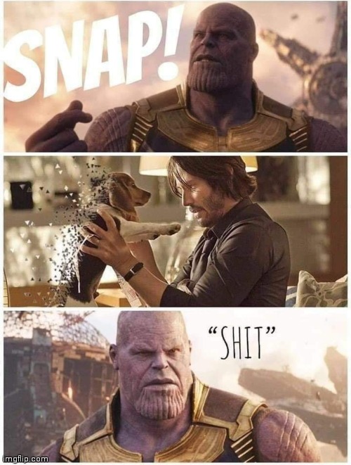 image tagged in memes,thanos,john wick | made w/ Imgflip meme maker