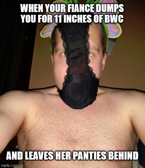 Hamper Hummingbird | WHEN YOUR FIANCE DUMPS YOU FOR 11 INCHES OF BWC; AND LEAVES HER PANTIES BEHIND | image tagged in hamper hummingbird | made w/ Imgflip meme maker