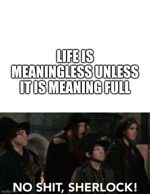 LIFE IS MEANINGLESS UNLESS IT IS MEANING FULL | image tagged in blank white template,no shit sherlock | made w/ Imgflip meme maker
