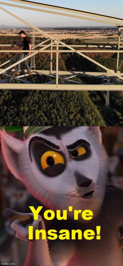 King Julien | image tagged in king julien | made w/ Imgflip meme maker