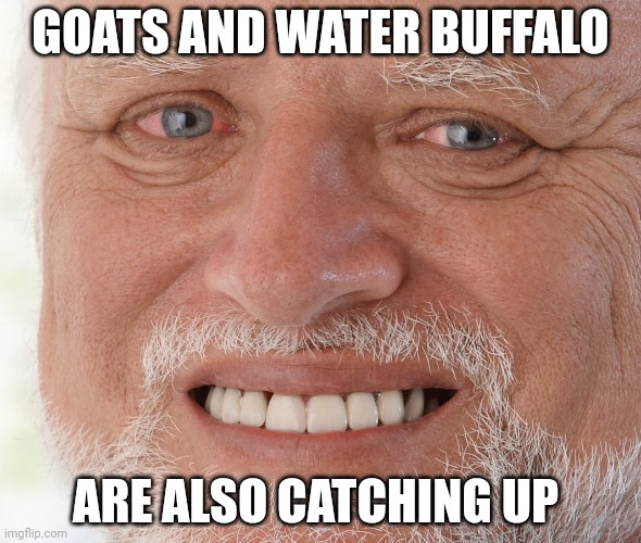 Hide the Pain Harold | GOATS AND WATER BUFFALO ARE ALSO CATCHING UP | image tagged in hide the pain harold | made w/ Imgflip meme maker