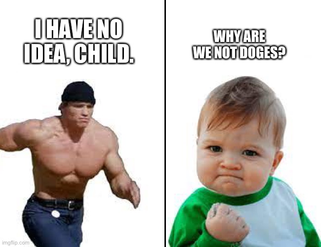 I feel like I made a good template | I HAVE NO IDEA, CHILD. WHY ARE WE NOT DOGES? | image tagged in running arnold vs success kid | made w/ Imgflip meme maker