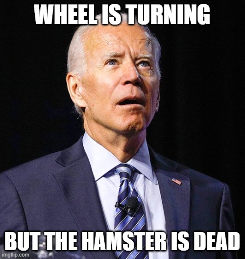 Joe Biden | WHEEL IS TURNING BUT THE HAMSTER IS DEAD | image tagged in joe biden | made w/ Imgflip meme maker