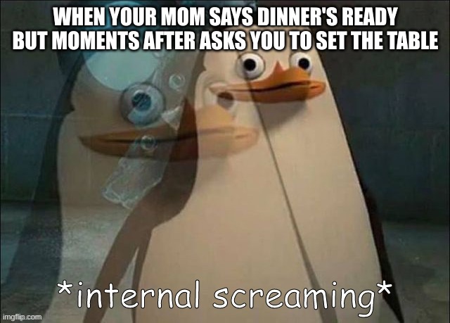 jhfhjhejhgfkghejkglrg | WHEN YOUR MOM SAYS DINNER'S READY BUT MOMENTS AFTER ASKS YOU TO SET THE TABLE | image tagged in private internal screaming | made w/ Imgflip meme maker