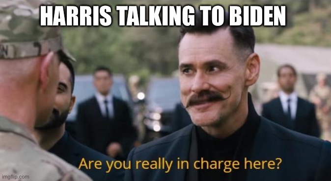 Biden’s a puppet | HARRIS TALKING TO BIDEN | image tagged in are you really in charge here | made w/ Imgflip meme maker