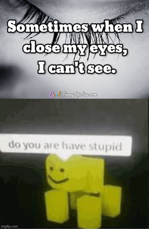 you stupid | image tagged in do you are have stupid | made w/ Imgflip meme maker