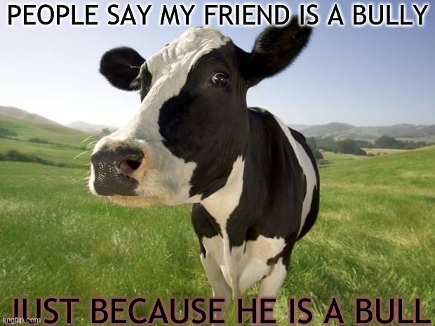Bulls are Bullies | PEOPLE SAY MY FRIEND IS A BULLY; JUST BECAUSE HE IS A BULL | image tagged in cow | made w/ Imgflip meme maker