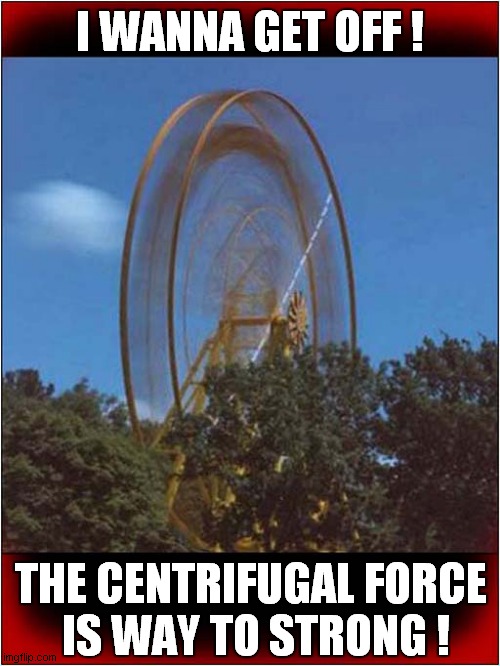 Avoid This Ferris Wheel ! | I WANNA GET OFF ! THE CENTRIFUGAL FORCE
 IS WAY TO STRONG ! | image tagged in physics,centrifugal force,ferris wheel | made w/ Imgflip meme maker