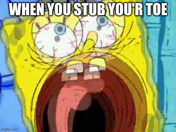 sponge | WHEN YOU STUB YOU'R TOE | image tagged in spongebob screaming | made w/ Imgflip meme maker