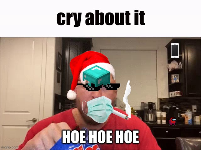 Cry About It | HOE HOE HOE | image tagged in cry about it | made w/ Imgflip meme maker