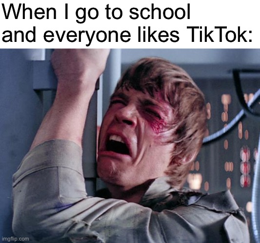 everybody’s an idiot except for me | When I go to school and everyone likes TikTok: | image tagged in luke nooooo,tik tok sucks,help me,oh wow are you actually reading these tags | made w/ Imgflip meme maker
